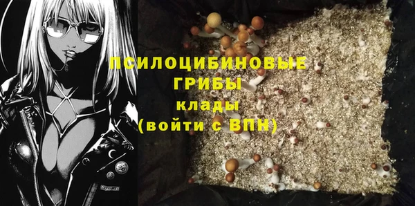 бошки Арсеньев